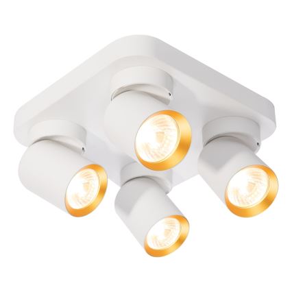 Spotlight ANDY 4xGU10/8W/230V white/gold