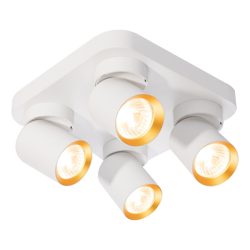 Spotlight ANDY 4xGU10/8W/230V white/gold