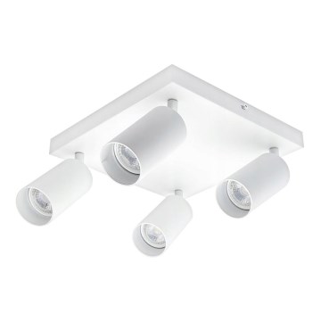 Spotlight ANGIE 4xGU10/35W/230V white