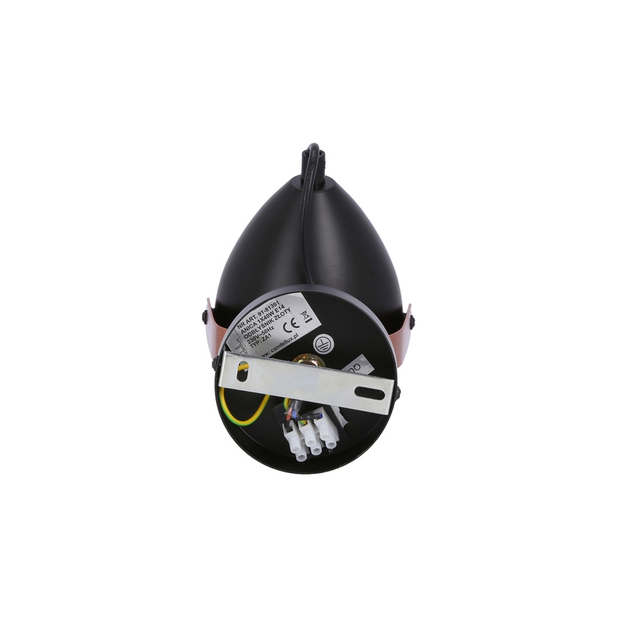 Spotlight ANICA 1xE14/40W/230V black/copper