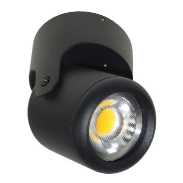 Spotlight ARGON 1xGU10/30W/230V black