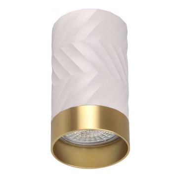 Spotlight ARRAS 1xGU10/10W/230V white