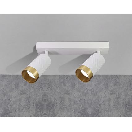 Spotlight ARRAS 2xGU10/10W/230V white