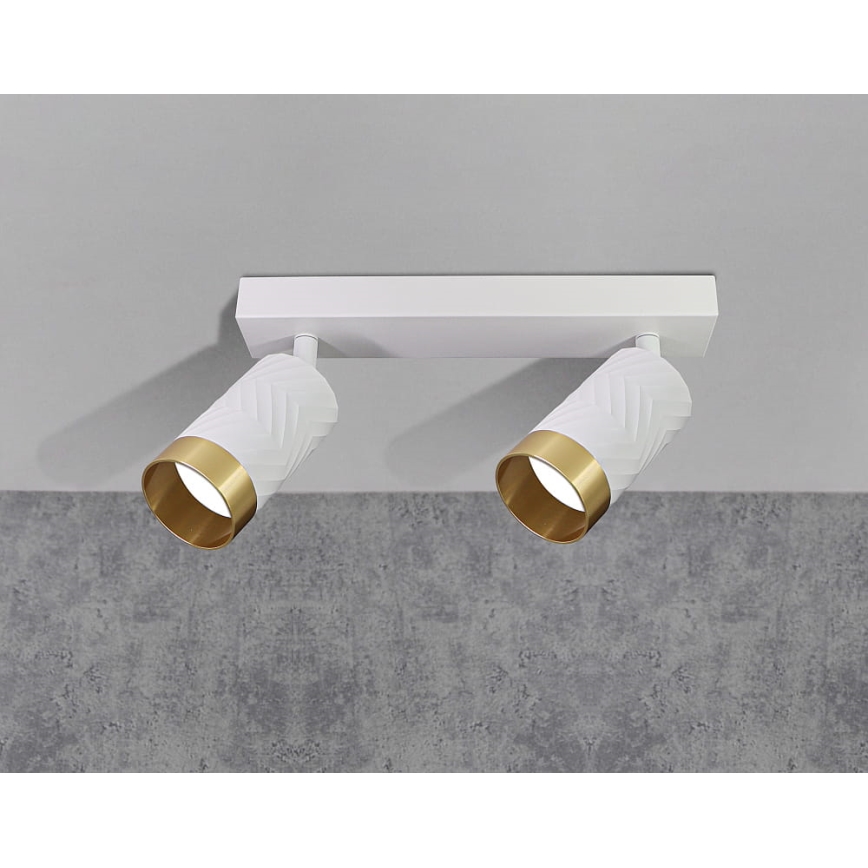 Spotlight ARRAS 2xGU10/10W/230V white
