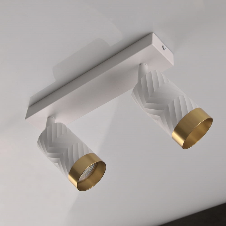 Spotlight ARRAS 2xGU10/10W/230V white