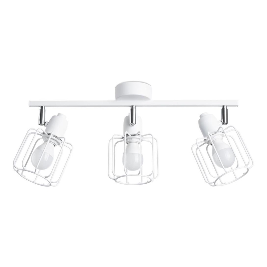 Spotlight BELUCI 3xE14/40W/230V white