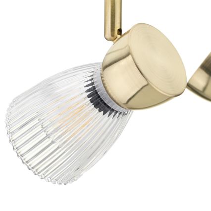 Spotlight BEST 2xE14/40W/230V gold