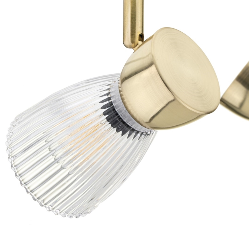 Spotlight BEST 2xE14/40W/230V gold