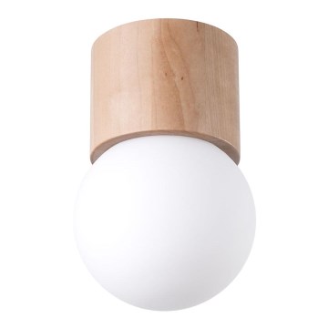 Spotlight BOOMO 1xG9/8W/230V beech