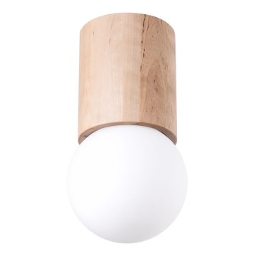 Spotlight BOOMO 1xG9/8W/230V beech