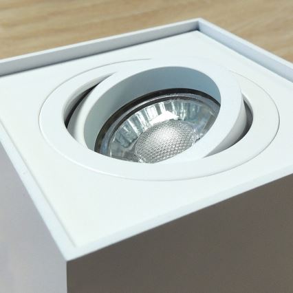 Spotlight CHLOE 1xGU10/10W/230V