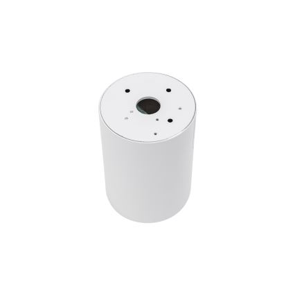 Spotlight CHLOE 1xGU10/35W/230V round white/gold