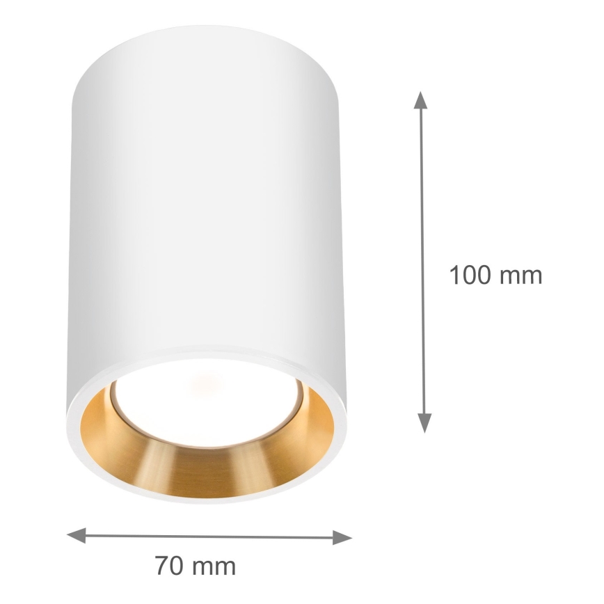 Spotlight CHLOE 1xGU10/35W/230V round white/gold