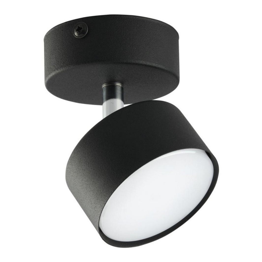 Spotlight CLARK 1xGX53/10W/230V black