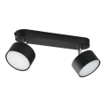 Spotlight CLARK 2xGX53/10W/230V black