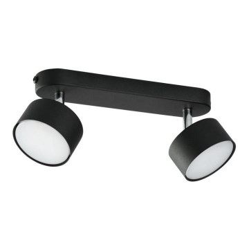 Spotlight CLARK 2xGX53/10W/230V black