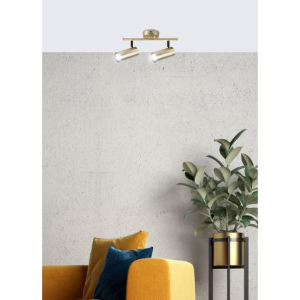 Spotlight COLLY 2xGU10/15W/230V gold
