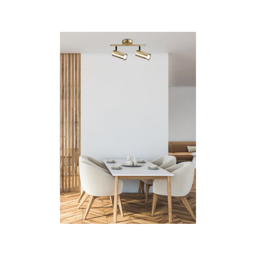 Spotlight COLLY 2xGU10/15W/230V gold