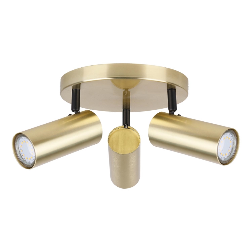 Spotlight COLLY 3xGU10/15W/230V gold