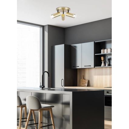 Spotlight COLLY 3xGU10/15W/230V gold
