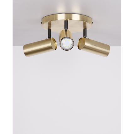 Spotlight COLLY 3xGU10/15W/230V gold