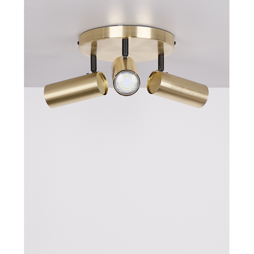 Spotlight COLLY 3xGU10/15W/230V gold