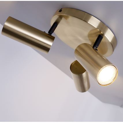 Spotlight COLLY 3xGU10/15W/230V gold