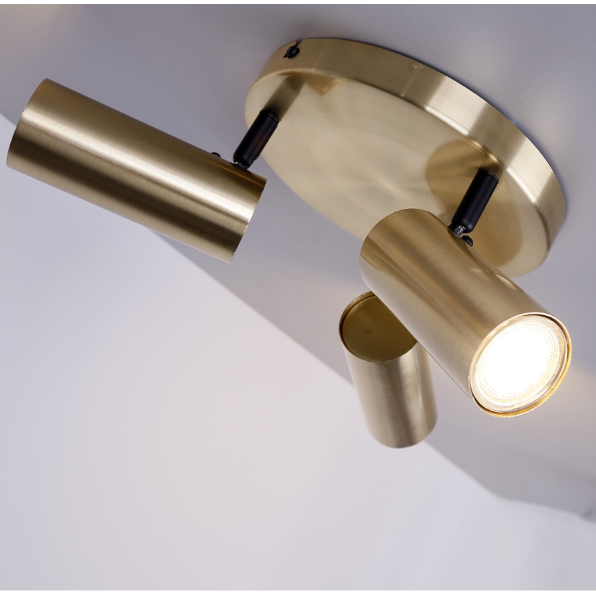 Spotlight COLLY 3xGU10/15W/230V gold