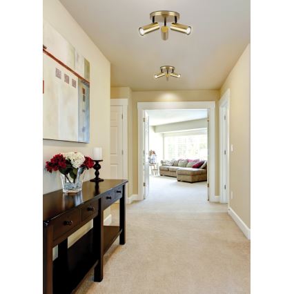 Spotlight COLLY 3xGU10/15W/230V gold