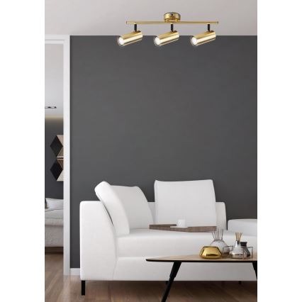 Spotlight COLLY 3xGU10/15W/230V gold