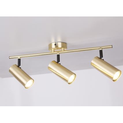 Spotlight COLLY 3xGU10/15W/230V gold