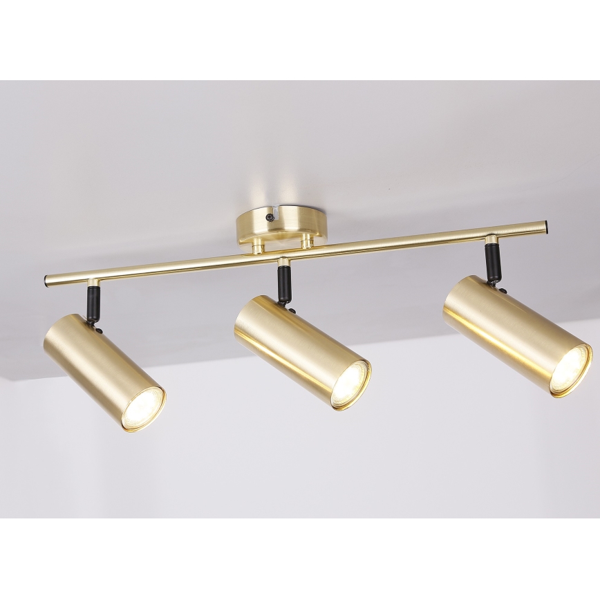 Spotlight COLLY 3xGU10/15W/230V gold