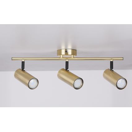 Spotlight COLLY 3xGU10/15W/230V gold