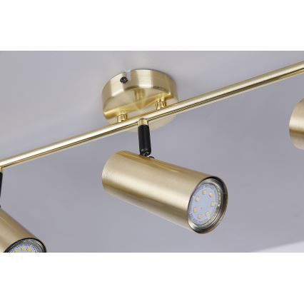 Spotlight COLLY 3xGU10/15W/230V gold