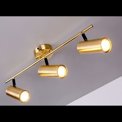 Spotlight COLLY 3xGU10/15W/230V gold