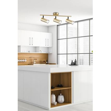 Spotlight COLLY 3xGU10/15W/230V gold