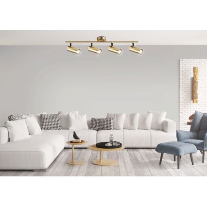 Spotlight COLLY 4xGU10/15W/230V gold