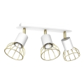 Spotlight DANTE 3xGU10/25W/230V white/gold