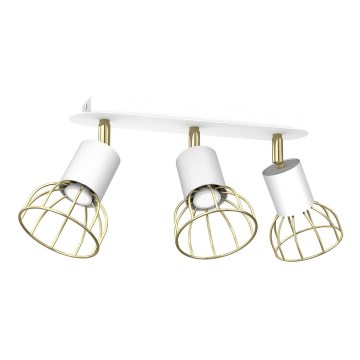 Spotlight DANTE 3xGU10/25W/230V white/gold