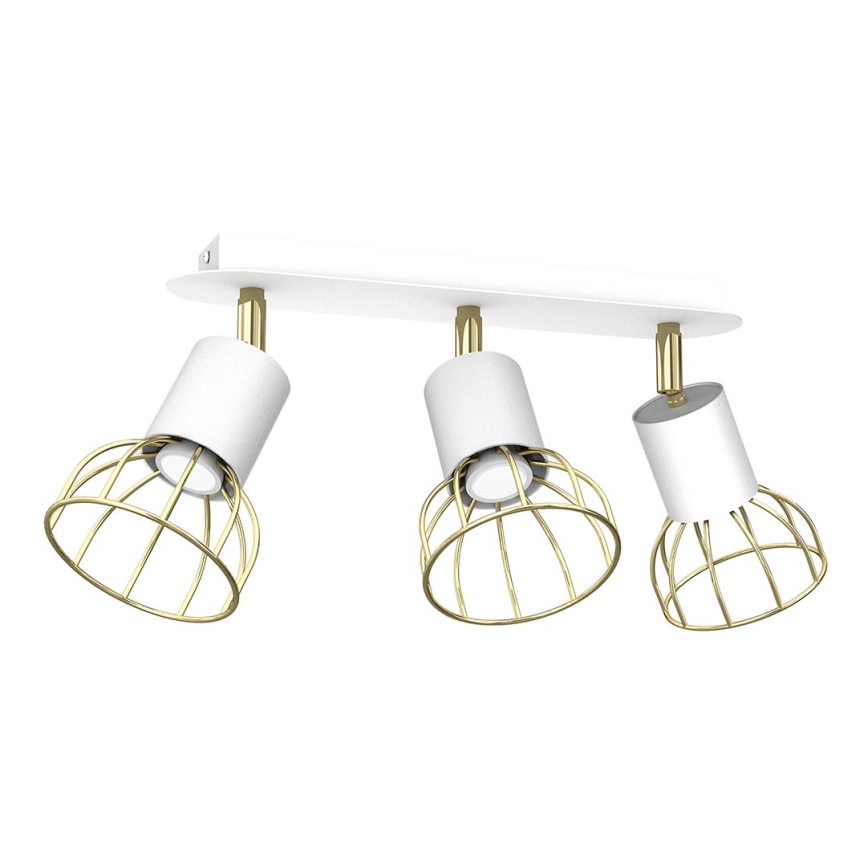 Spotlight DANTE 3xGU10/25W/230V white/gold