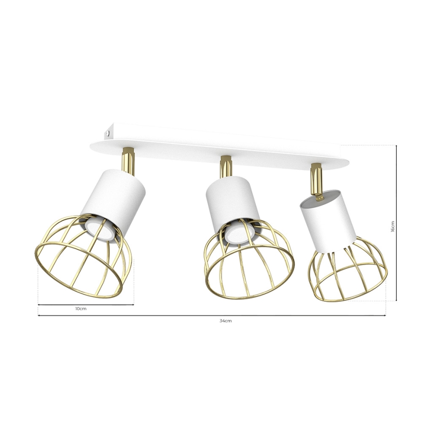 Spotlight DANTE 3xGU10/25W/230V white/gold