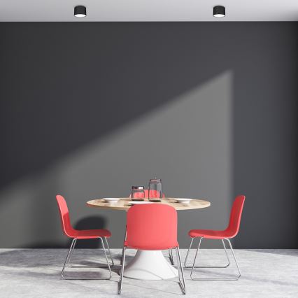 Spotlight DIXIE 1xGX53/11W/230V black