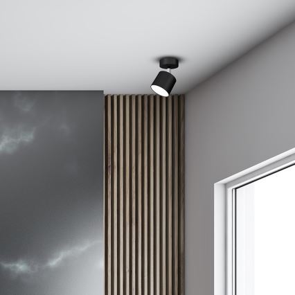 Spotlight DIXIE 1xGX53/11W/230V black