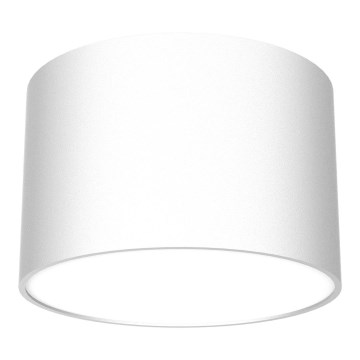 Spotlight DIXIE 1xGX53/11W/230V white