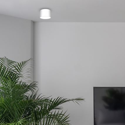 Spotlight DIXIE 1xGX53/11W/230V white
