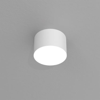 Spotlight DIXIE 1xGX53/11W/230V white