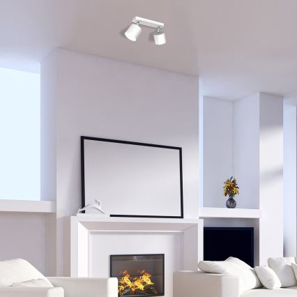 Spotlight DIXIE 2xGX53/11W/230V white