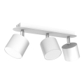 Spotlight DIXIE 3xGX53/11W/230V white