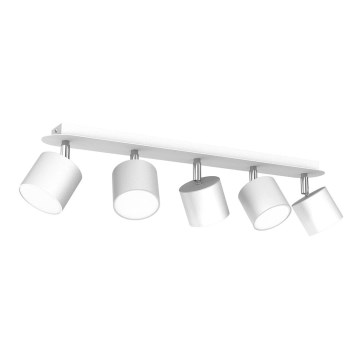 Spotlight DIXIE 5xGX53/11W/230V white