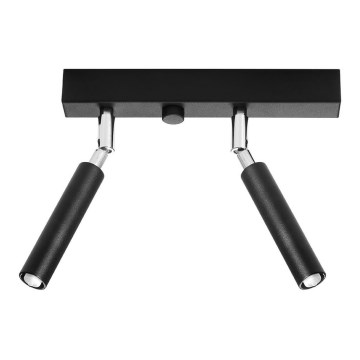 Spotlight EYETECH 2xG9/12W/230V black